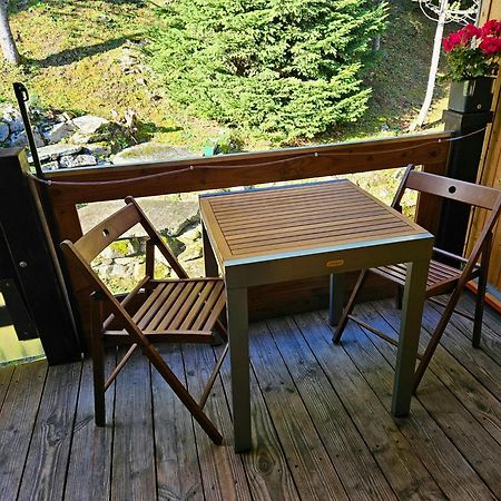 Gemuetliche Fewo Mit Sauna Inmitten Der Berge Meiringen Exterior foto
