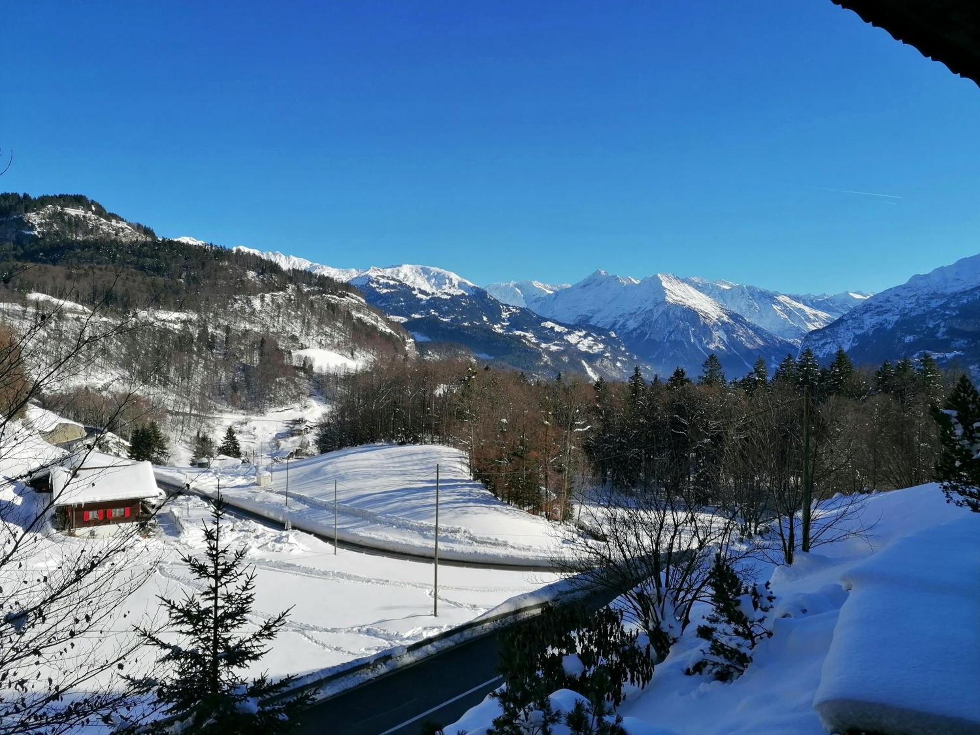 Gemuetliche Fewo Mit Sauna Inmitten Der Berge Meiringen Exterior foto