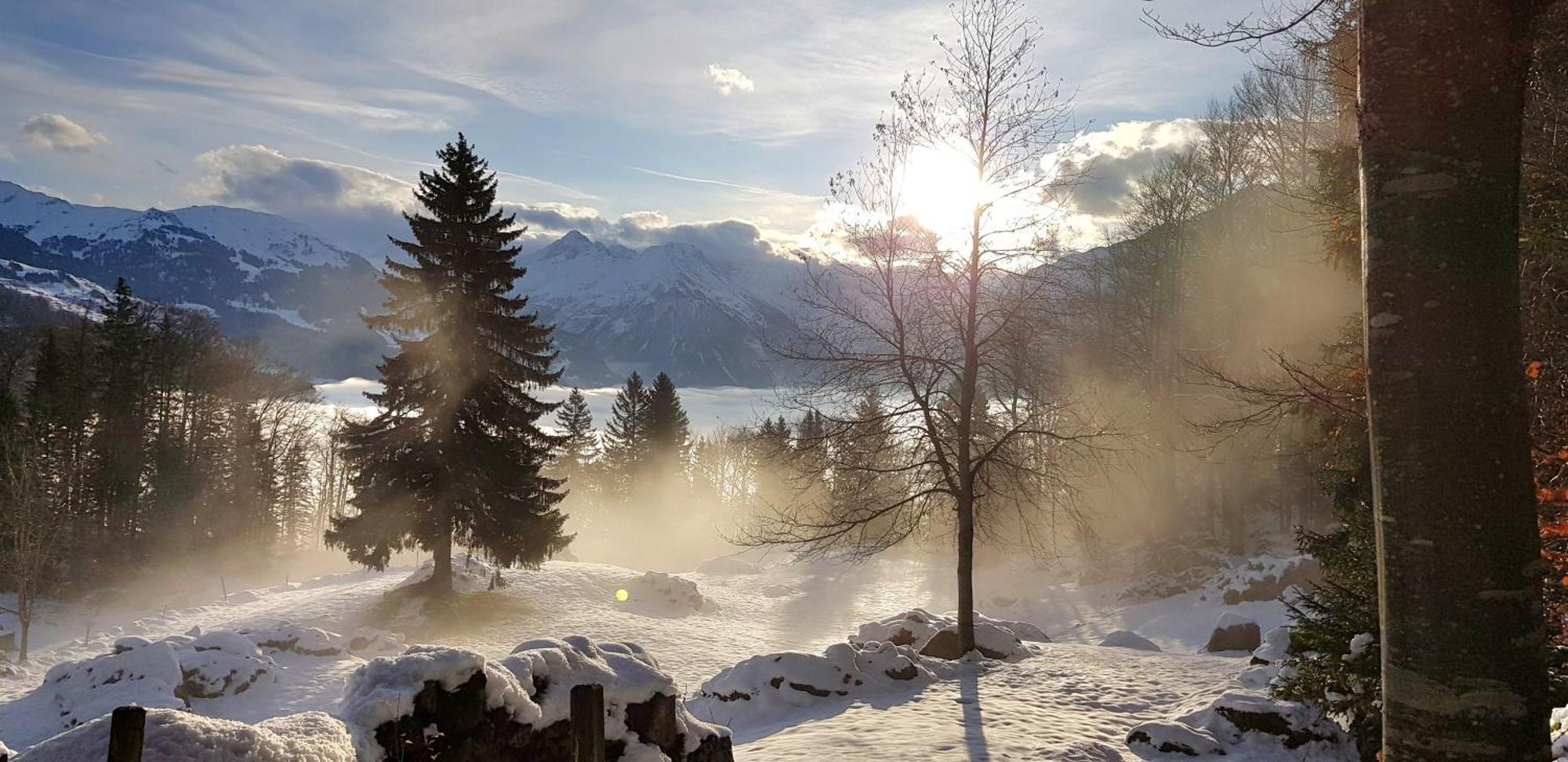 Gemuetliche Fewo Mit Sauna Inmitten Der Berge Meiringen Exterior foto