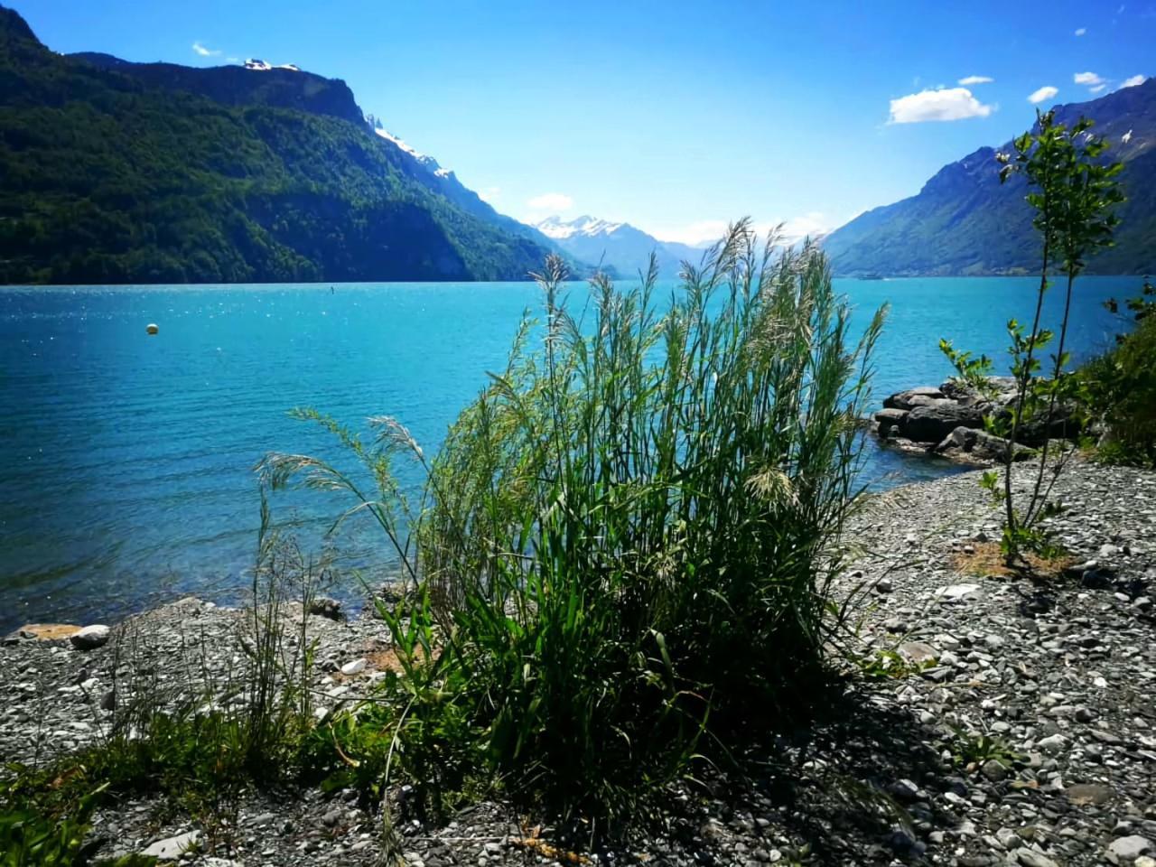 Gemuetliche Fewo Mit Sauna Inmitten Der Berge Meiringen Exterior foto