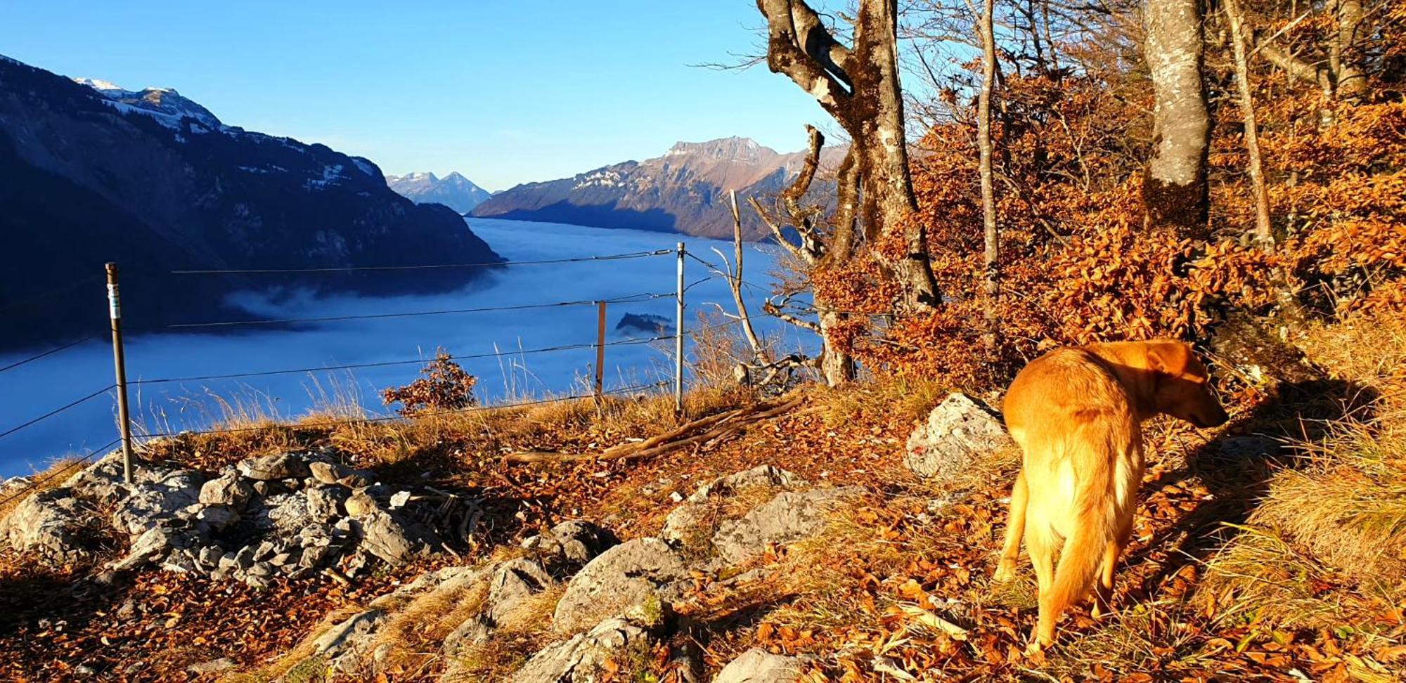 Gemuetliche Fewo Mit Sauna Inmitten Der Berge Meiringen Exterior foto