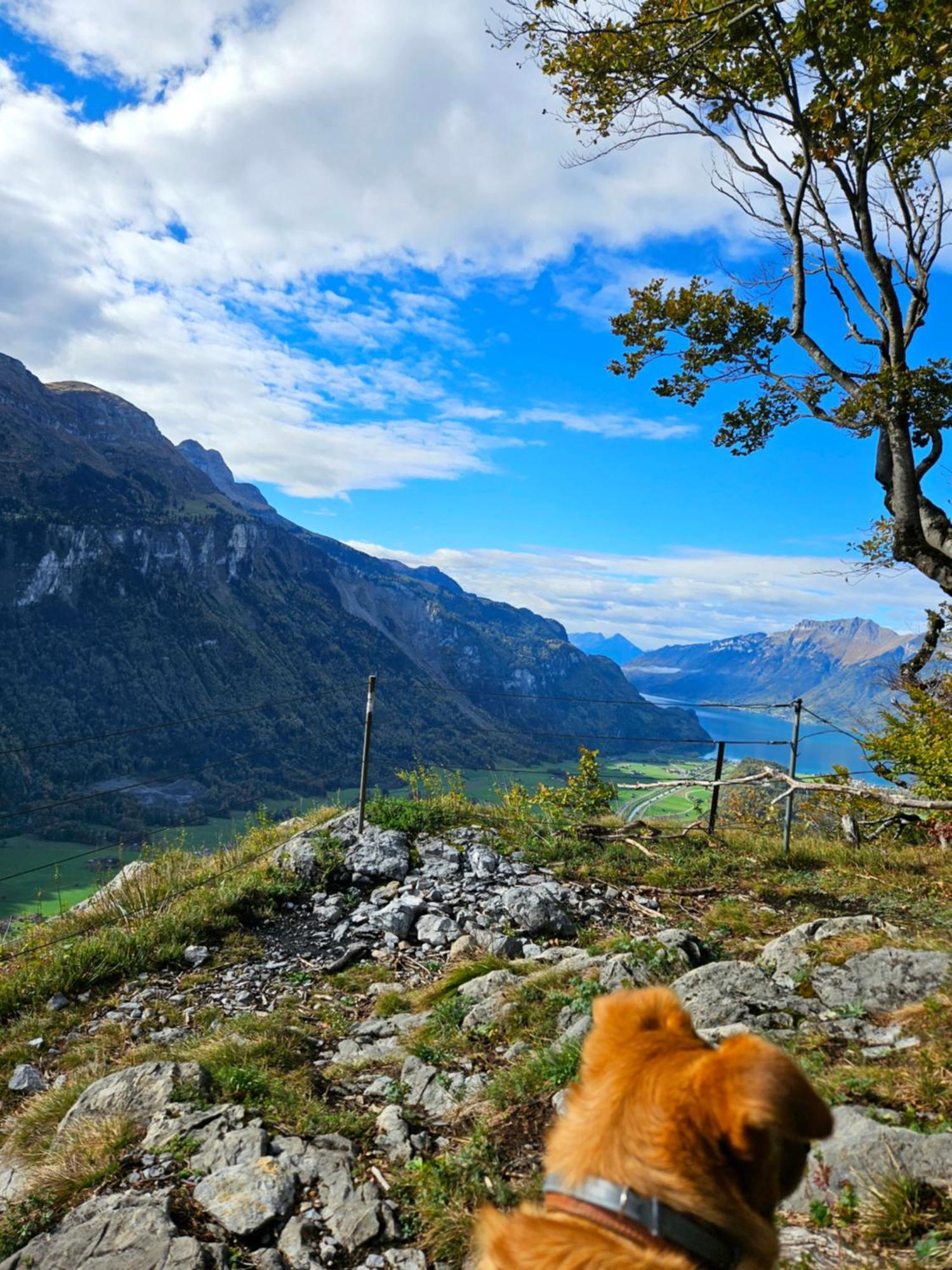 Gemuetliche Fewo Mit Sauna Inmitten Der Berge Meiringen Exterior foto