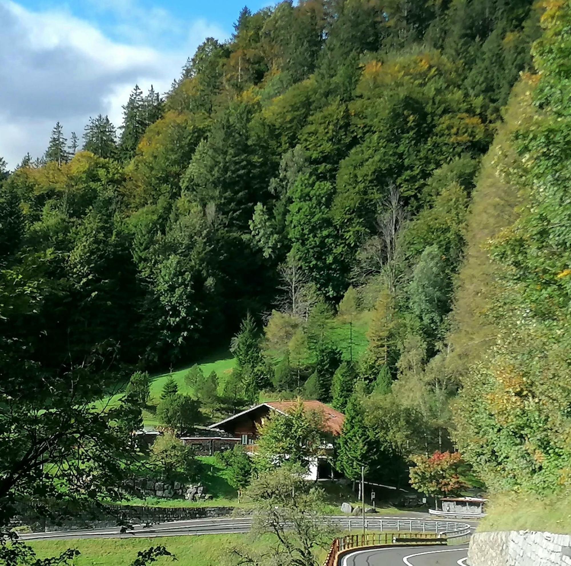 Gemuetliche Fewo Mit Sauna Inmitten Der Berge Meiringen Exterior foto